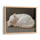 JACK  - Ángel Barraza Ramírez | Cuadro decorativo de Canvas Lab