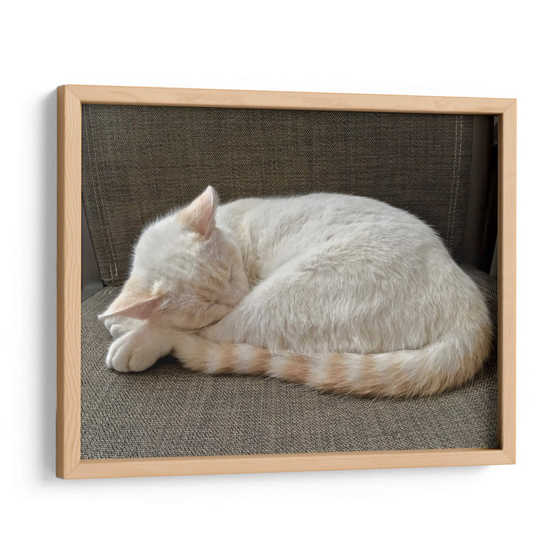 JACK  - Ángel Barraza Ramírez | Cuadro decorativo de Canvas Lab