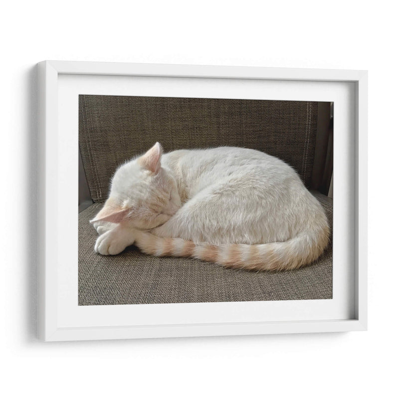 JACK  - Ángel Barraza Ramírez | Cuadro decorativo de Canvas Lab