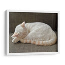 JACK  - Ángel Barraza Ramírez | Cuadro decorativo de Canvas Lab