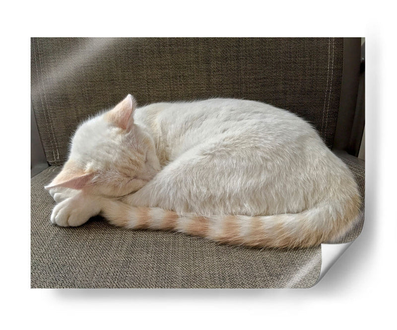 JACK  - Ángel Barraza Ramírez | Cuadro decorativo de Canvas Lab