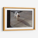 GATA KATY - Ángel Barraza Ramírez | Cuadro decorativo de Canvas Lab