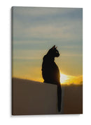 LILI AL ATARDECER - Ángel Barraza Ramírez | Cuadro decorativo de Canvas Lab