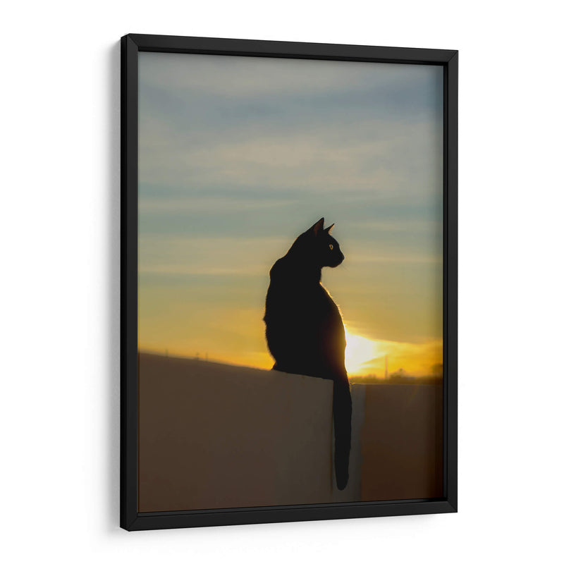 LILI AL ATARDECER - Ángel Barraza Ramírez | Cuadro decorativo de Canvas Lab