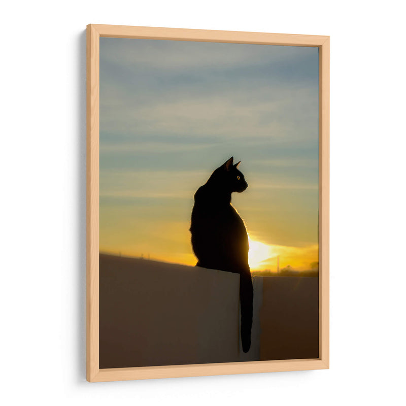 LILI AL ATARDECER - Ángel Barraza Ramírez | Cuadro decorativo de Canvas Lab