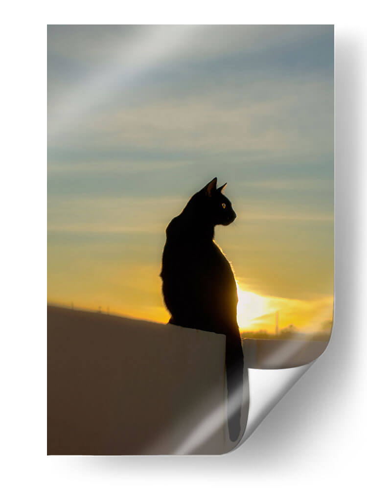 LILI AL ATARDECER - Ángel Barraza Ramírez | Cuadro decorativo de Canvas Lab