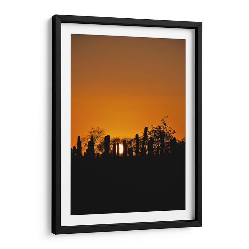 TARDE DE VERANO - Ángel Barraza Ramírez | Cuadro decorativo de Canvas Lab