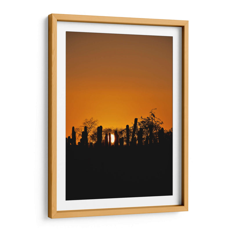 TARDE DE VERANO - Ángel Barraza Ramírez | Cuadro decorativo de Canvas Lab