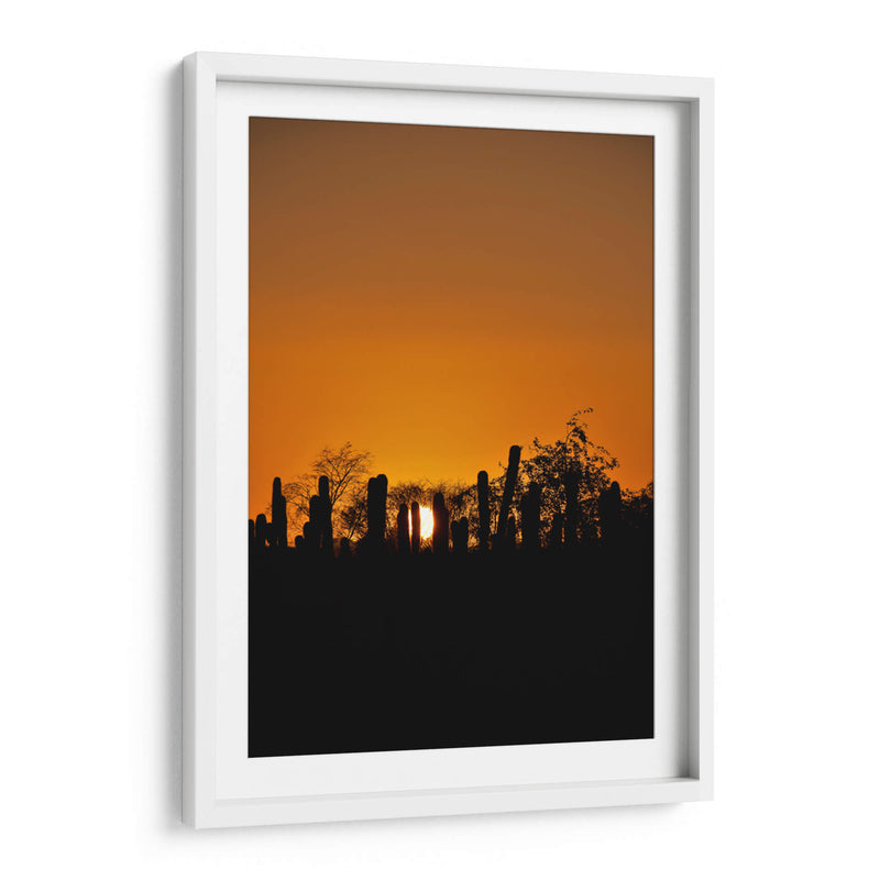 TARDE DE VERANO - Ángel Barraza Ramírez | Cuadro decorativo de Canvas Lab