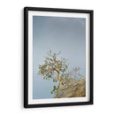 TOROTE EN RISCO - Ángel Barraza Ramírez | Cuadro decorativo de Canvas Lab