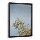 TOROTE EN RISCO - Ángel Barraza Ramírez | Cuadro decorativo de Canvas Lab