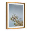 TOROTE EN RISCO - Ángel Barraza Ramírez | Cuadro decorativo de Canvas Lab