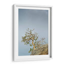 TOROTE EN RISCO - Ángel Barraza Ramírez | Cuadro decorativo de Canvas Lab