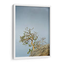 TOROTE EN RISCO - Ángel Barraza Ramírez | Cuadro decorativo de Canvas Lab