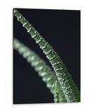 Acercamiento a planta de casa - Barán | Cuadro decorativo de Canvas Lab