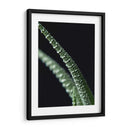 Acercamiento a planta de casa - Barán | Cuadro decorativo de Canvas Lab