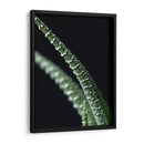 Acercamiento a planta de casa - Barán | Cuadro decorativo de Canvas Lab