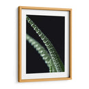 Acercamiento a planta de casa - Barán | Cuadro decorativo de Canvas Lab