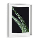 Acercamiento a planta de casa - Barán | Cuadro decorativo de Canvas Lab