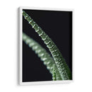 Acercamiento a planta de casa - Barán | Cuadro decorativo de Canvas Lab