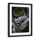 Acercamiento a planta neón - Barán | Cuadro decorativo de Canvas Lab