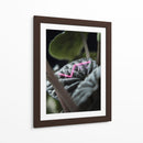 Acercamiento a planta neón - Barán | Cuadro decorativo de Canvas Lab