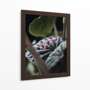 Acercamiento a planta neón - Barán | Cuadro decorativo de Canvas Lab