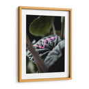 Acercamiento a planta neón - Barán | Cuadro decorativo de Canvas Lab