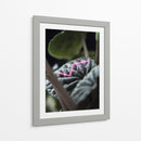 Acercamiento a planta neón - Barán | Cuadro decorativo de Canvas Lab