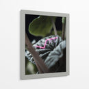 Acercamiento a planta neón - Barán | Cuadro decorativo de Canvas Lab