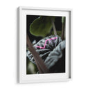 Acercamiento a planta neón - Barán | Cuadro decorativo de Canvas Lab