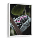 Acercamiento a planta neón - Barán | Cuadro decorativo de Canvas Lab