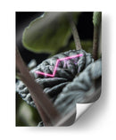 Acercamiento a planta neón - Barán | Cuadro decorativo de Canvas Lab