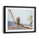 Ave acicalándose - Barán | Cuadro decorativo de Canvas Lab