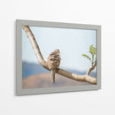 Ave acicalándose - Barán | Cuadro decorativo de Canvas Lab