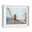 Ave acicalándose - Barán | Cuadro decorativo de Canvas Lab