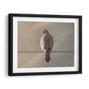 Ave en cable - Barán | Cuadro decorativo de Canvas Lab