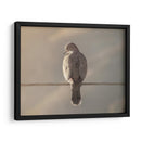 Ave en cable - Barán | Cuadro decorativo de Canvas Lab