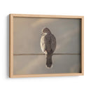 Ave en cable - Barán | Cuadro decorativo de Canvas Lab