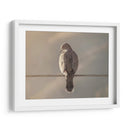 Ave en cable - Barán | Cuadro decorativo de Canvas Lab