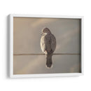 Ave en cable - Barán | Cuadro decorativo de Canvas Lab