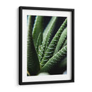 Brazos de planta - Barán | Cuadro decorativo de Canvas Lab