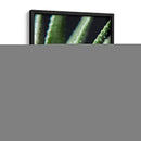 Brazos de planta - Barán | Cuadro decorativo de Canvas Lab