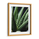 Brazos de planta - Barán | Cuadro decorativo de Canvas Lab