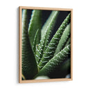 Brazos de planta - Barán | Cuadro decorativo de Canvas Lab