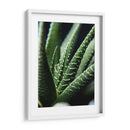 Brazos de planta - Barán | Cuadro decorativo de Canvas Lab