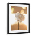 Clavel de luz - Barán | Cuadro decorativo de Canvas Lab