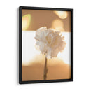 Clavel de luz - Barán | Cuadro decorativo de Canvas Lab