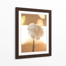 Clavel de luz - Barán | Cuadro decorativo de Canvas Lab