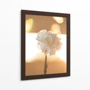 Clavel de luz - Barán | Cuadro decorativo de Canvas Lab
